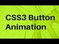 CSS3 Button Animation Tutorial | CSS3 Animation Snippets