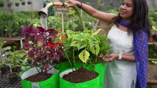 HDPE Grow Bag For Home Gardening | HDPE Green Grow Bags | OrganicBazar