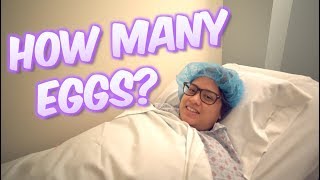 EGG RETRIEVAL DAY! HOW MANY EGGS? IVF JOURNEY ROUND 2