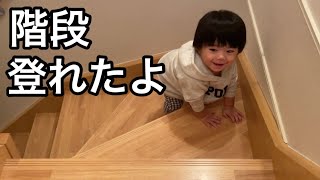 『階段登り』登る事はできるけど、1段も降りれない/1歳の息子