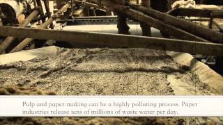 THE DIRTY SECRET THE PULP AND PAPER INDUSTRY