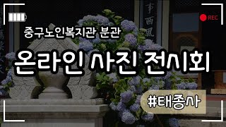 [중구노인복지관 분관] 영도 태종사 출사 온라인 사진전