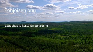 Pohjoisen puu - Laadukas ja kestävä raaka-aine