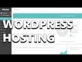 Kinsta - Fast & Secure WordPress Hosting