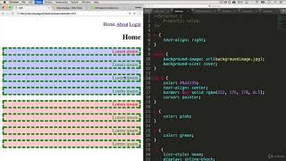 4 CSS Selectors | Learn JavaScript | Complete Web development course