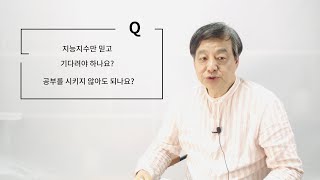 [지쌤상담소] 지능지수에 따라 공부를 시켜야 하나요?