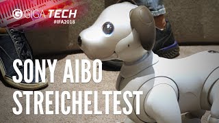 Roboterhund SONY AIBO im Hands-On (deutsch): Besser als ein echter Hund? – GIGA.DE