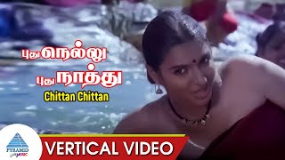 Pudhu Nellu Pudhu Naathu Movie Songs | Chittan Chittan Vertical Video Song | Sukanya | Ilaiyaraaja