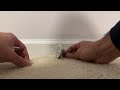 Magnetic Door Stopper Installation and Review