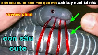 Con Sâu Siêu cấp Dễ thương Của anh Bảy nuôi trong nhà || review giải trí đời sống