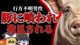 【2012年】 豚舎の中で発見された人間の残骸行方不明になった農場主...【ゆっくり解説】