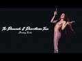 Diamonds & Dancefloors (Backing Track): The Diamonds & Dancefloors Tour (Concept Tour)