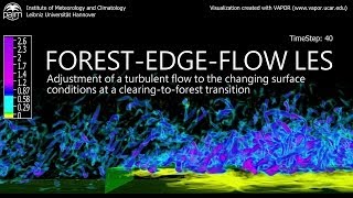 Large-Eddy Simulation of a Forest-Edge Flow