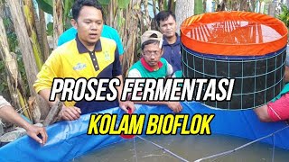 CARA FERMENTASI AIR PADA KOLAM BIOFLOK | TAHAPAN BUDIDAYA LELE BIOFLOK