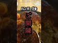 東海オンエアしばゆーが何でも良いと言った洋食屋で10周年祝おうとした結果wwww 東海オンエア 岡崎 聖地巡礼 てつや