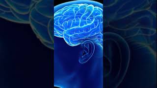 Increase Brain Power, Enhance Intelligence, Study Music, Improve Memory #Shorts