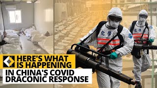 Here's what is happening in China's Draconic response to Covid 2022