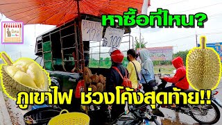 นิคมชมชิม ทุเรียนภูเขาไฟช่วงโค้งสุดท้าย ซื้อตรงไหน ขายดีเว่อร์