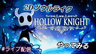 #9 END【Hollow Knight】終盤の雰囲気「伝統的な2D横スクロール」