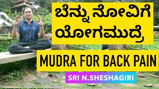 Mudra for back pain  ಬೆನ್ನು ನೋವಿಗೆ ಯೋಗಮುದ್ರೆ N Sheshagiri