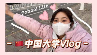 China University Life🇨🇳🏫中国大学校园Vlog 我的一天校园生活💕 School Vlog🫶🏻Tianjin Normal University 天师大🎓