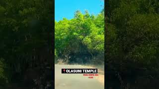 Olasuni Temple Chandikhole ❤️ #odiavlogs #bhadrakvlogs #jajpur