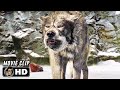 THE CHRONICLES OF NARNIA: THE LION, THE WITCH AND THE WARDROBE Clip - "Peter vs. The Wolves" (2005)