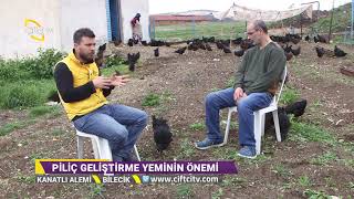 Kümes Kurulumu Ve Genel Bakımı - Kanatlı Alemi / Çiftçi TV