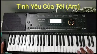 Tình Yêu Của Tôi Remix Organ | Kurtzman K250 | Điêu Chương