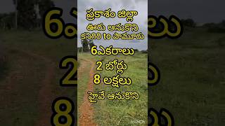 8885969825:ప్రకాశం జిల్లా పామూరు దగ్గర ఆరు ఎకరాల విస్తీర్ణం గల పొలం ఎకరం ఎనిమిది లక్షలు రెండు బోర్లు