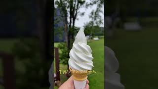 どこのお店が美味しい⁉️ 【北海道牛乳ソフトクリーム】 清水宏保#shorts