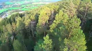 Ultimate Speed Flying In Norway Ends In A Tree Landing | Speedflying Gone Wrong