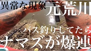 【埼玉バス釣り】元荒川の激アツポイント！Rポイントを調査してきた！バス釣り【元荒川バス釣り】