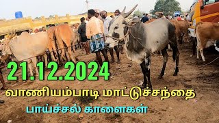 21 12 2024 பரபரபரப்பான வாணியம்பாடி மாட்டுச்சந்தை