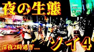 【世界の遊び場】夜の生態観察 ソイ4深夜2時過ぎ