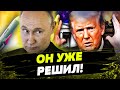 FREEДОМ | ТРАМП РАЗРЕШИЛ ВСЕ! У кого развязаны руки? ПЕРЕГОВОРЫ РФ И УКРАИНЫ День 07.11.2024 - 13:30