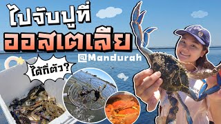 จับปูที่ออสเตเลีย จะได้กี่ตัว? สดมาก สนุกมาก Crabbing in Mandurah || Perth,Australia