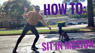 How to teach sit in motion | Dog Training