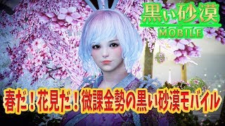 【黒い砂漠モバイル】春が来たね！お花見したい雑談。微課金勢のクロサバモバイル！【アプリ】