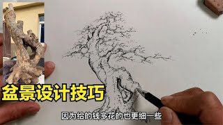 盆景设计有规律，你看懂了吗？