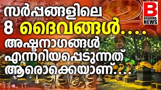 8 ശക്തരായ നാഗദൈവങ്ങൾ ആരെല്ലാം.. .അഷ്ടനാഗങ്ങൾ.. നാഗങ്ങളുടെ കഥ| ASHTANAGANGAL I  BRAHMA NEWS