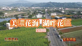 高雄 | 美濃湖\u0026花海\u0026美濃客家文物館(首部曲) | 季節限定 | 4K 60P 空拍