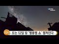 오는 12일 밤 별똥별 쇼 펼쳐진다 ytn 사이언스