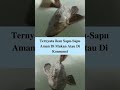 Ternyata ikan Sapu-Sapu Aman Di Konsumsi