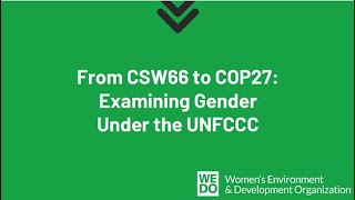 From CSW66 to COP27: Examining Gender Under the UNFCCC