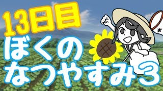 後の最高の夏休み - ぼくのなつやすみ3　13日目