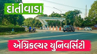 SDAU  એગ્રીકલ્ચર યુનિવર્સિટી દાંતીવાડા | Dantiwada UNIVERSITY | SDAU Full Vlog | @KDEDUCATION