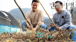 한국기행 - Korea travel_당신을 위한 하룻밤 2부- 불편해도 괜찮아_#001