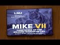 Behind the Scenes:  The Voice Behind Mike the Tiger