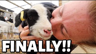 EWE saved the BEST for LAST!! | the FINAL days of SUMMER LAMBING 2022. | Vlog 596